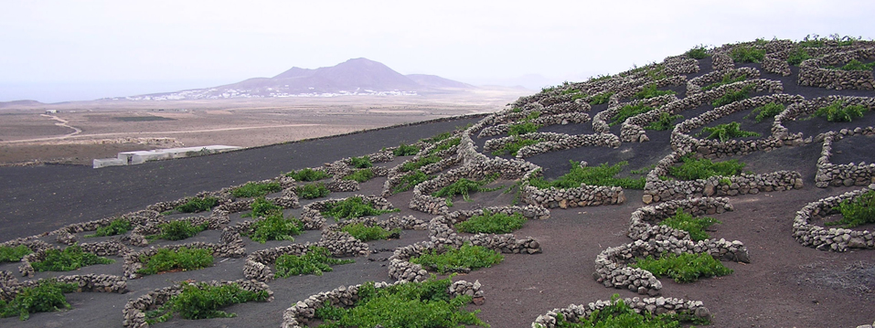 A Casa José Saramago en Lanzarote