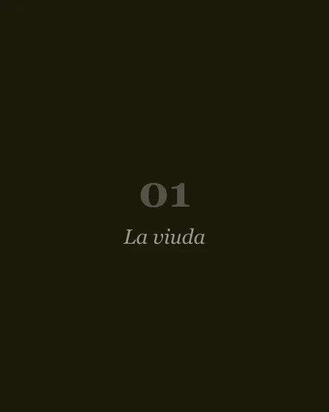 La viuda, de José Saramago (portada pendiente)