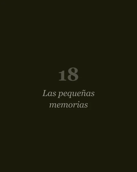 Las pequeñas memorias, de José Saramago (portada pendiente)